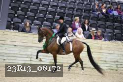 23R13_08172 thumbnail