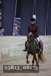 23R13_08173 thumbnail