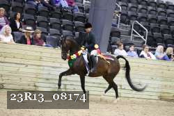 23R13_08174 thumbnail