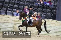 23R13_08175 thumbnail