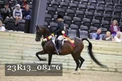 23R13_08176 thumbnail