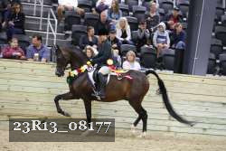23R13_08177 thumbnail