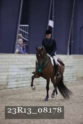 23R13_08178 thumbnail