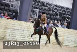 23R13_08180 thumbnail