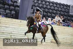23R13_08181 thumbnail