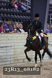 23R13_08182 thumbnail