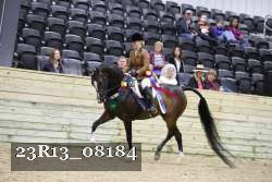 23R13_08184 thumbnail