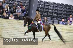 23R13_08185 thumbnail