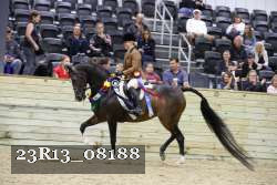 23R13_08188 thumbnail