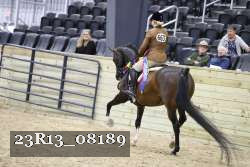 23R13_08189 thumbnail