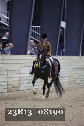 23R13_08190 thumbnail