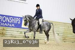 23R13_07936 thumbnail