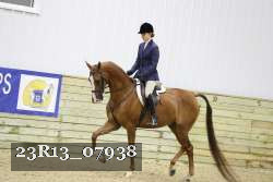 23R13_07938 thumbnail