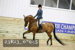 23R13_07945 thumbnail