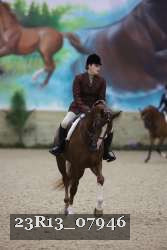 23R13_07946 thumbnail