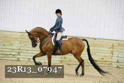 23R13_07947 thumbnail