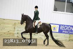 23R13_07951 thumbnail