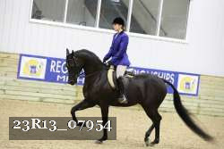 23R13_07954 thumbnail