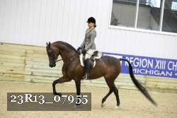 23R13_07955 thumbnail