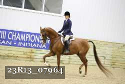 23R13_07964 thumbnail
