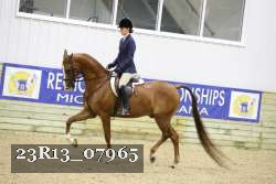 23R13_07965 thumbnail