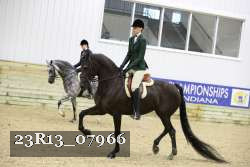 23R13_07966 thumbnail