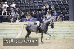 23R13_07992 thumbnail