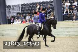 23R13_07993 thumbnail