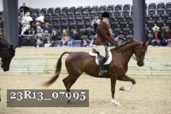 23R13_07995 thumbnail