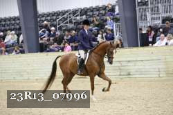 23R13_07996 thumbnail