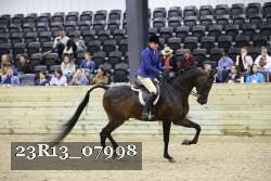 23R13_07998 thumbnail