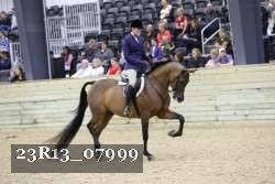 23R13_07999 thumbnail