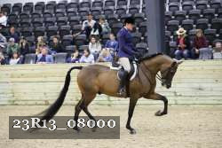 23R13_08000 thumbnail