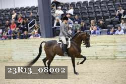 23R13_08002 thumbnail