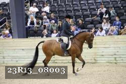 23R13_08003 thumbnail