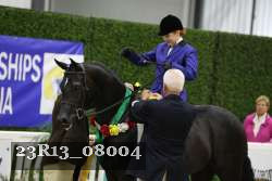 23R13_08004 thumbnail