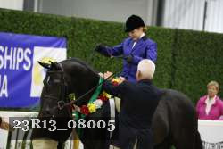 23R13_08005 thumbnail