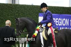 23R13_08011 thumbnail