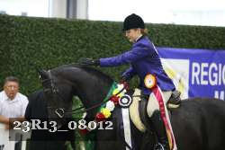 23R13_08012 thumbnail