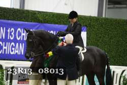 23R13_08013 thumbnail