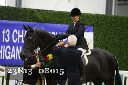 23R13_08015 thumbnail