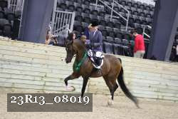 23R13_08019 thumbnail