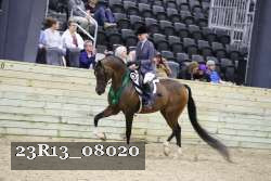 23R13_08020 thumbnail