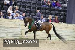 23R13_08021 thumbnail
