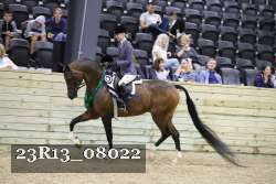 23R13_08022 thumbnail