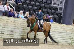 23R13_08023 thumbnail