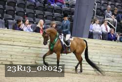 23R13_08025 thumbnail
