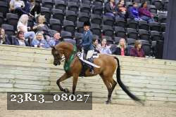 23R13_08027 thumbnail