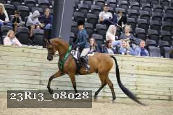 23R13_08028 thumbnail