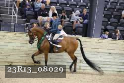 23R13_08029 thumbnail